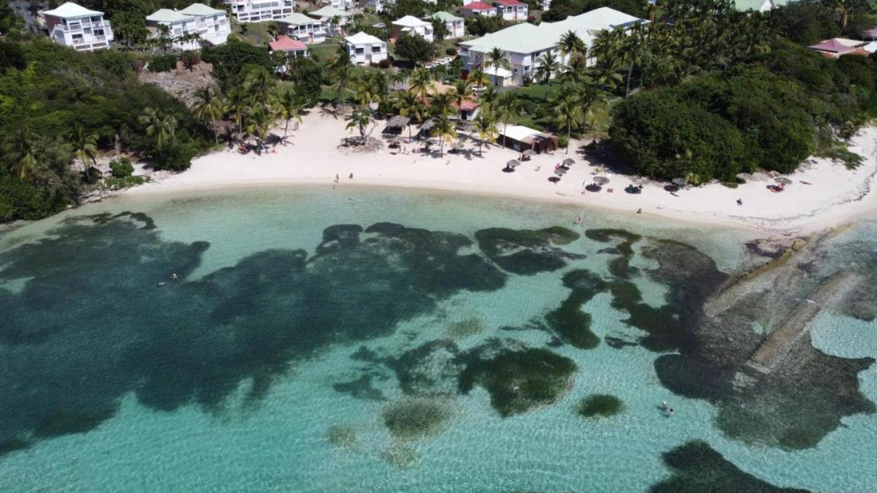 Anse Des Rochers Les Alizés Du Soir Piscine Appartement
