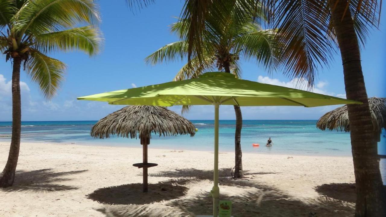 Anse Des Rochers Les Alizés Du Soir Piscine *
